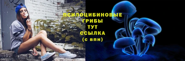 гидропоника Нягань