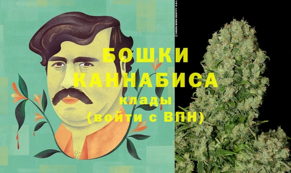 стаф Няндома