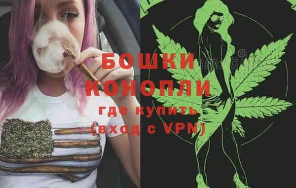 стаф Няндома