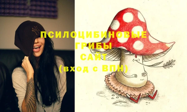 гидропоника Нягань