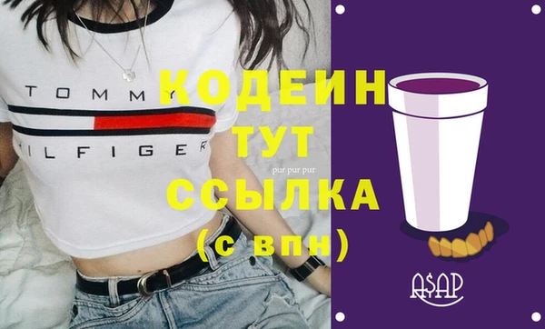 стаф Няндома