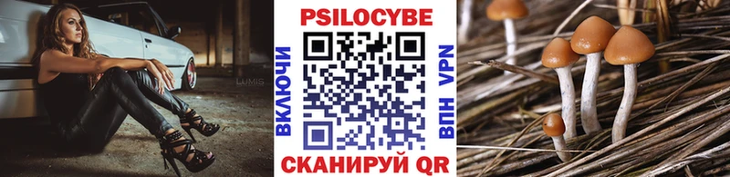 Псилоцибиновые грибы мухоморы купить наркотик Махачкала