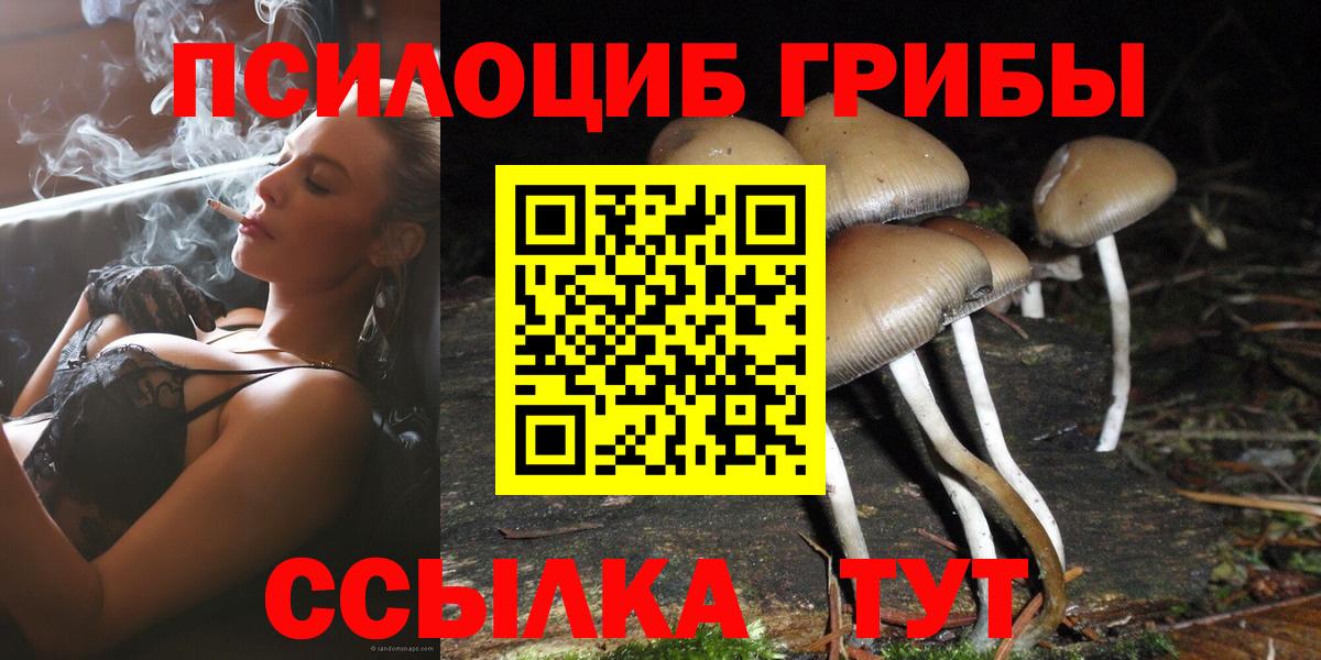 закладка  Махачкала  Псилоцибиновые грибы Cubensis  Галлюциногенные грибы Psilocybe 