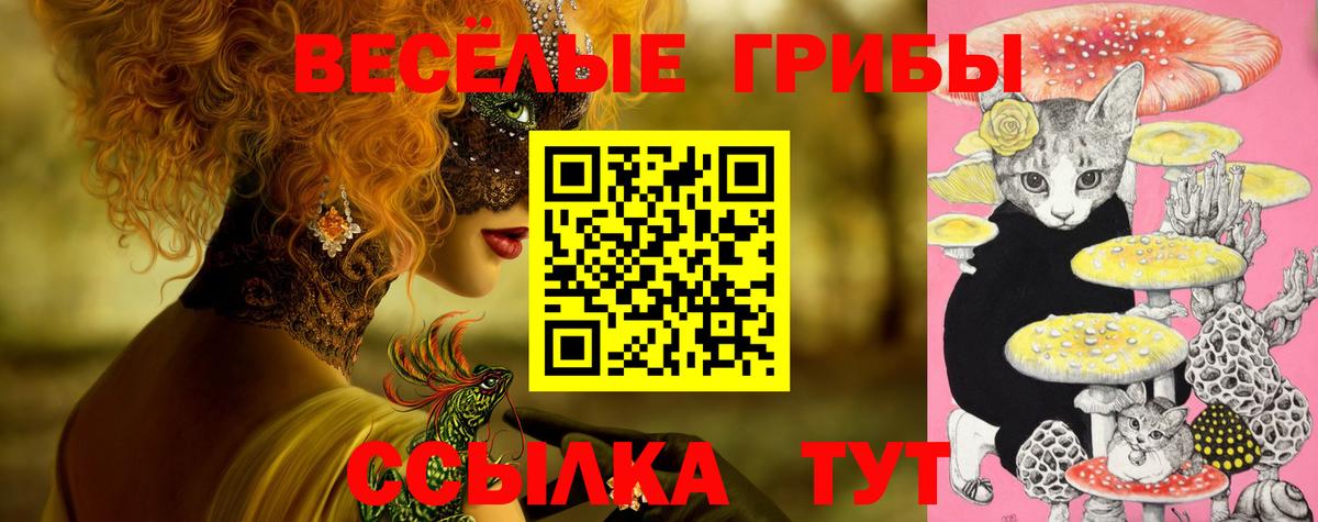 Псилоцибиновые грибы мицелий Махачкала